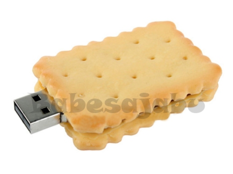 biscuit usb